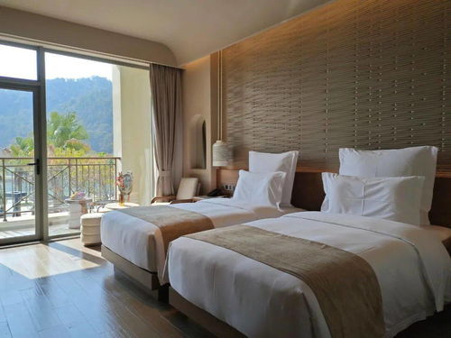 699元抢住河源春沐源小镇棕榈树轻奢酒店 高逼格度假新体验